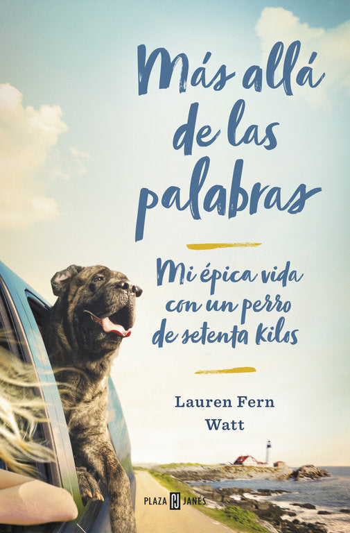 M�s all� de las palabras