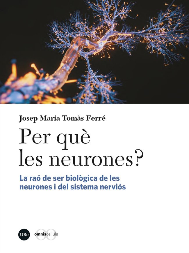 PER QUE LES NEURONES?