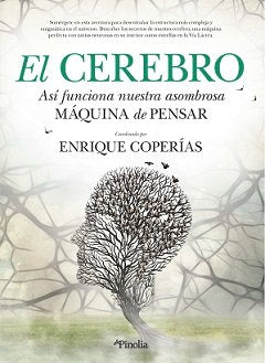 CEREBRO,EL