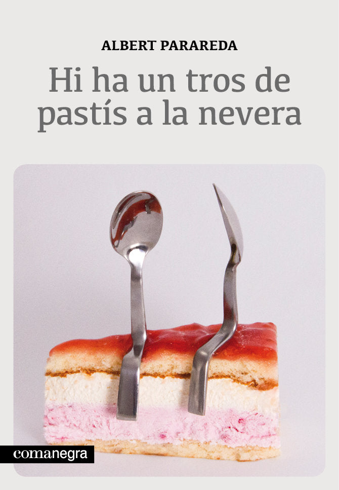 Hi ha un tros de past�s a la nevera