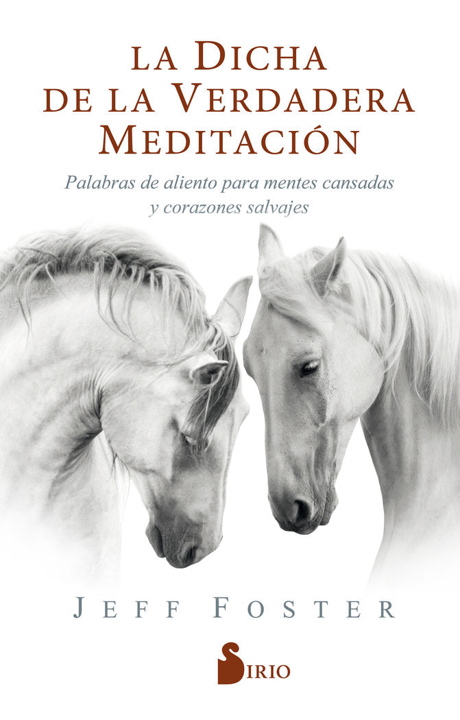 La dicha de la verdadera meditaci�n