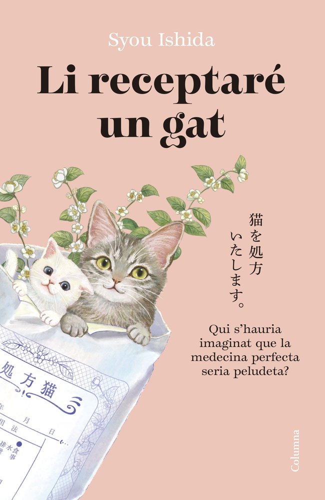 LI RECEPTARE UN GAT