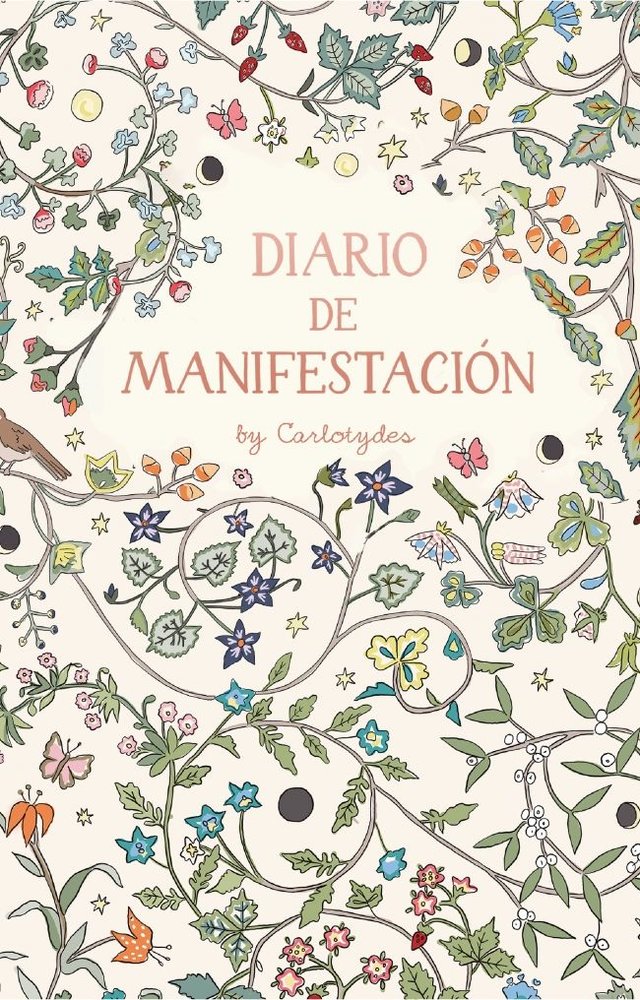 DIARIO DE MANIFESTACION