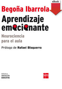 Aprendizaje emocionante (ebook - epub)