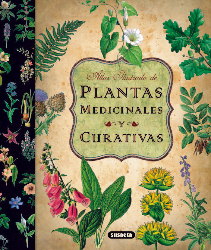 ATLAS ILUSTRADO DE PLANTAS MEDICINALES Y CURATIVAS