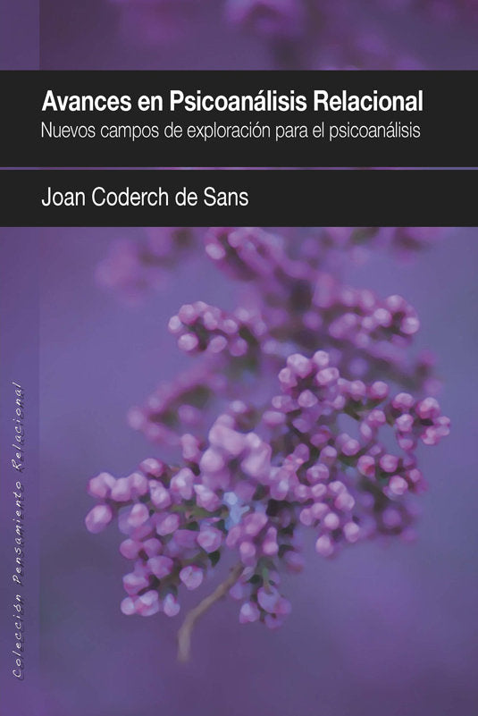 Avances en psicoan�lisis relacional