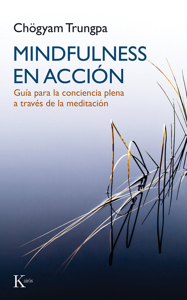Mindfulness en acci�n