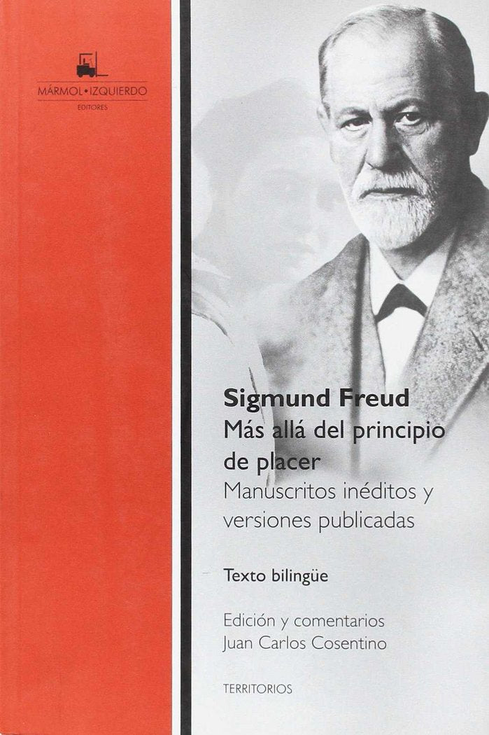 MAS ALLA DEL PRINCIPIO DE PLACER (BILINGUE)