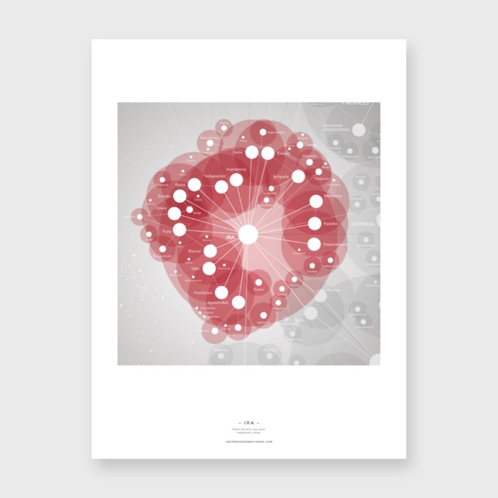 LAMINA IRA (30X40)