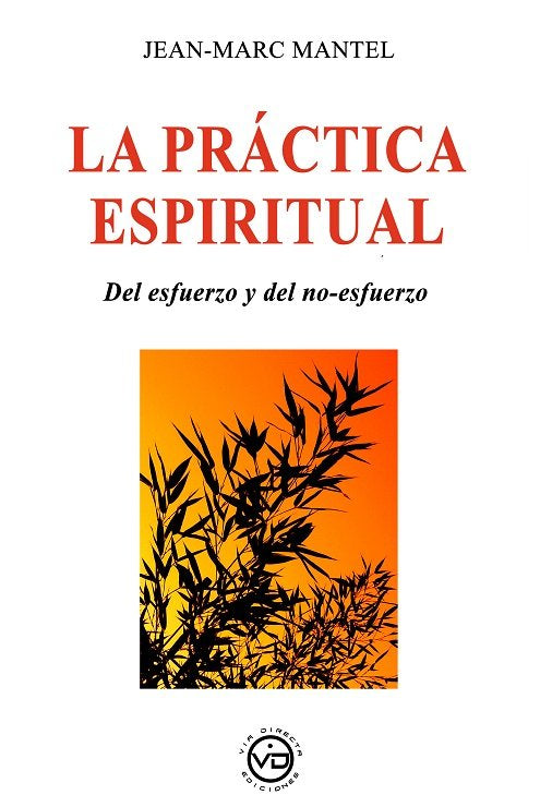 LA PRACTICA ESPIRITUAL