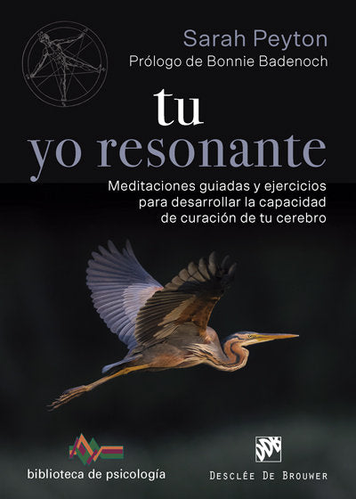 Tu yo resonante. Meditaciones guiadas y ejercicios para desarrollar la capacidad de curaci�n de tu c