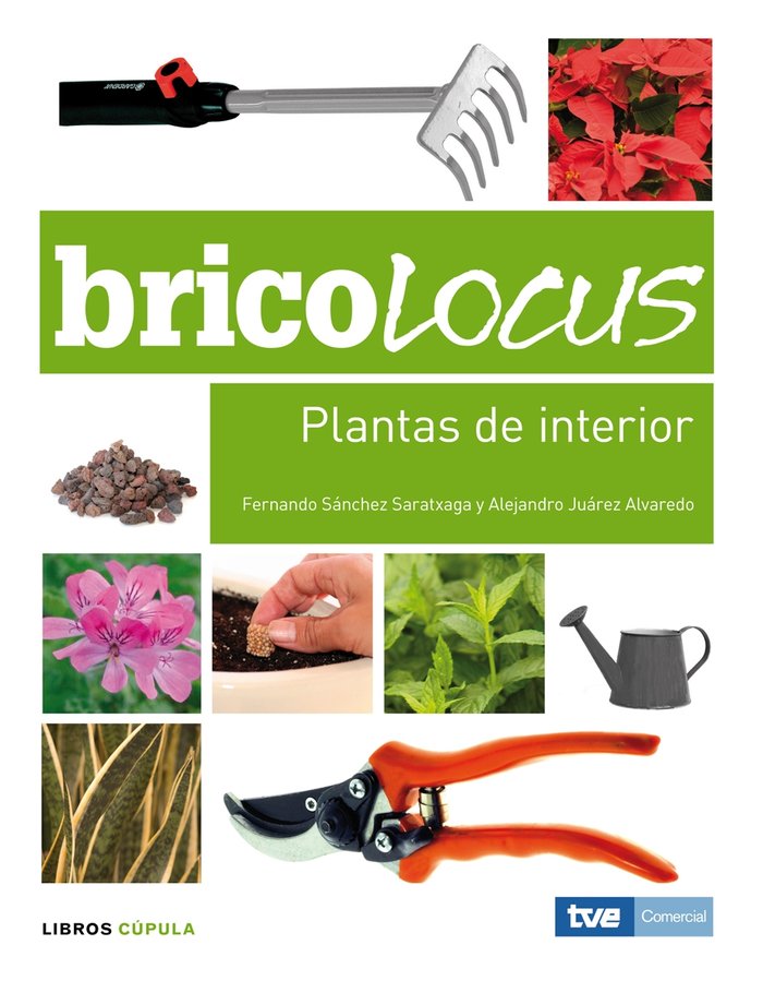 Bricolocus. Plantas de interior