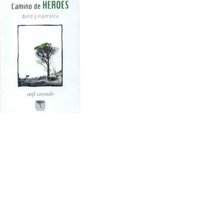 C�MINO DE H�ROES
