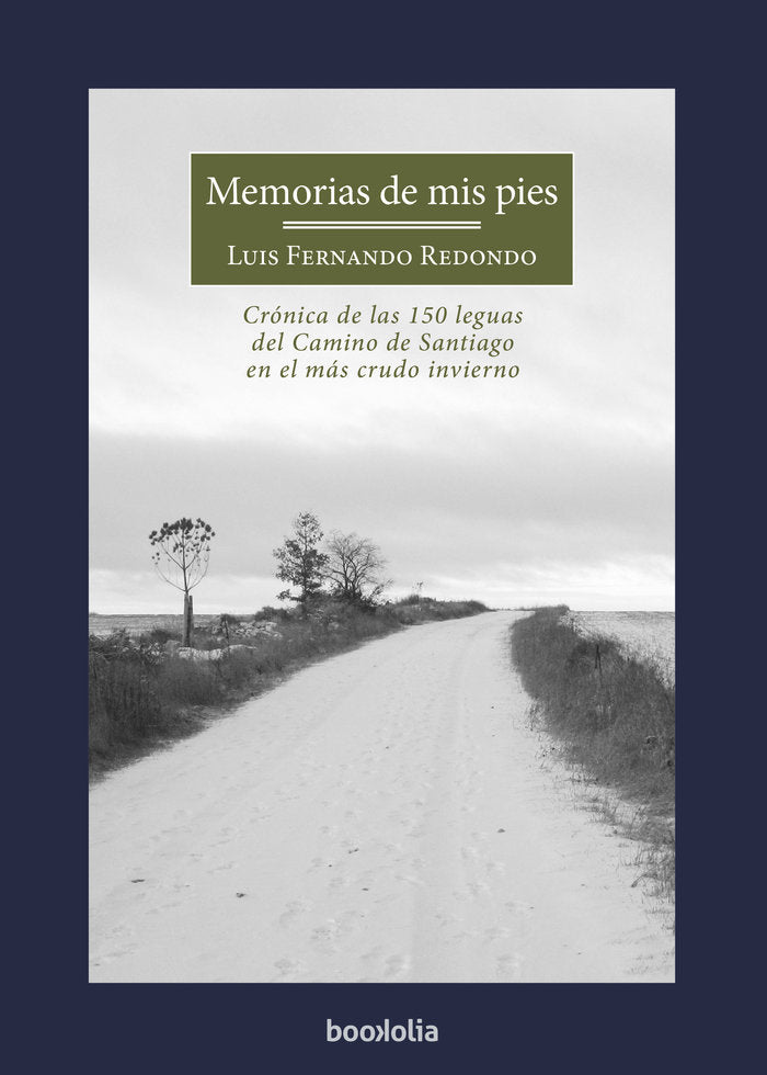 Memorias de mis pies