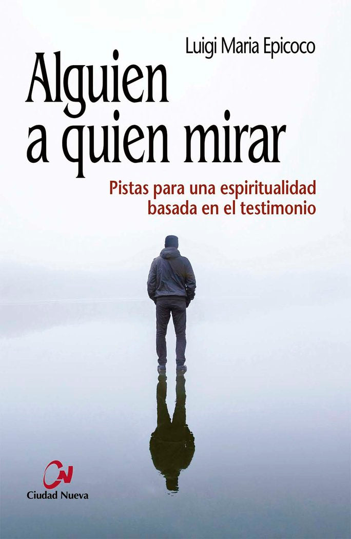 Alguien a quien mirar