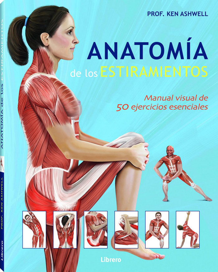 Anatom�a de los estiramientos